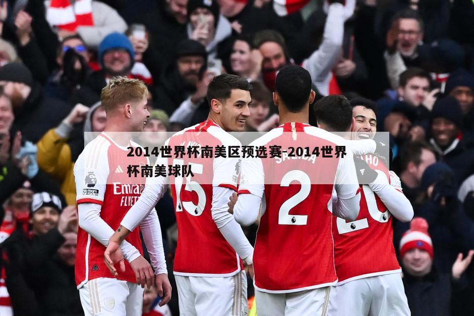 2014世界杯南美区预选赛-2014世界杯南美球队