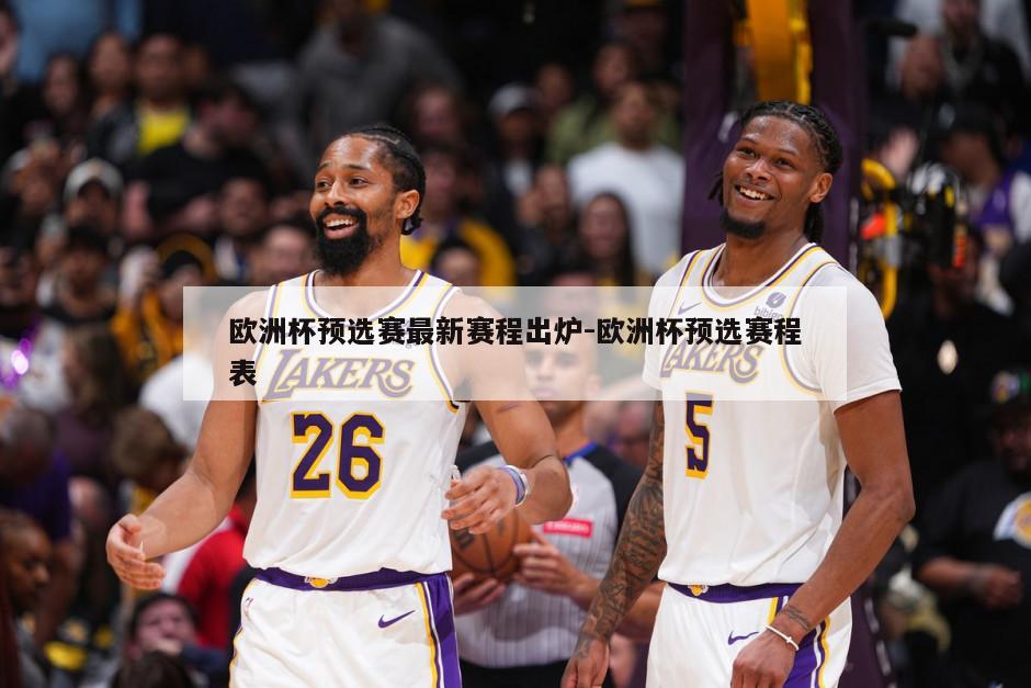 欧洲杯预选赛最新赛程出炉-欧洲杯预选赛程表